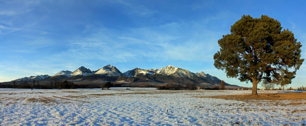 Vysoké Tatry od Gerlachova