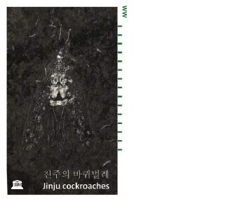 cover Jinju Cockroaches