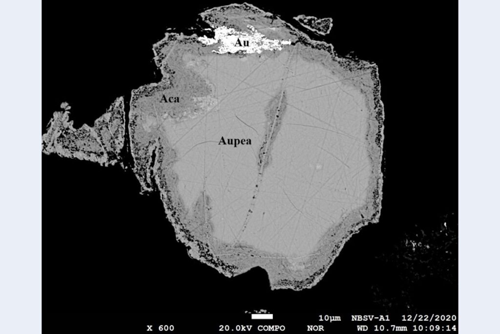 Zrná auropearceitu (Aupea) lemované pórovitým akantitom (Aca) spolu so zlatom (Au). BSE snímka