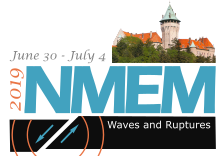 logo NMEM